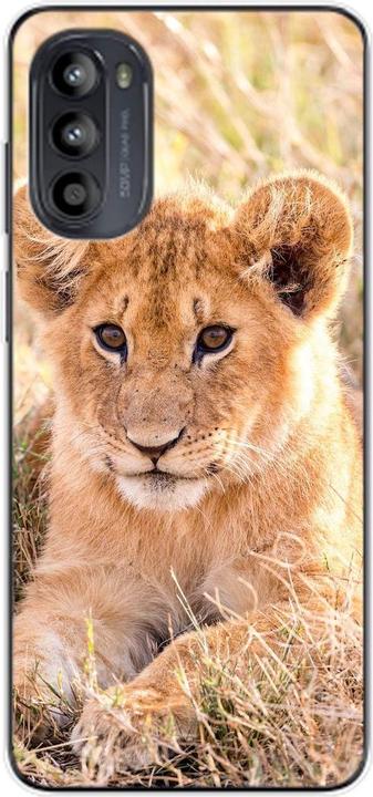 Löwen Baby