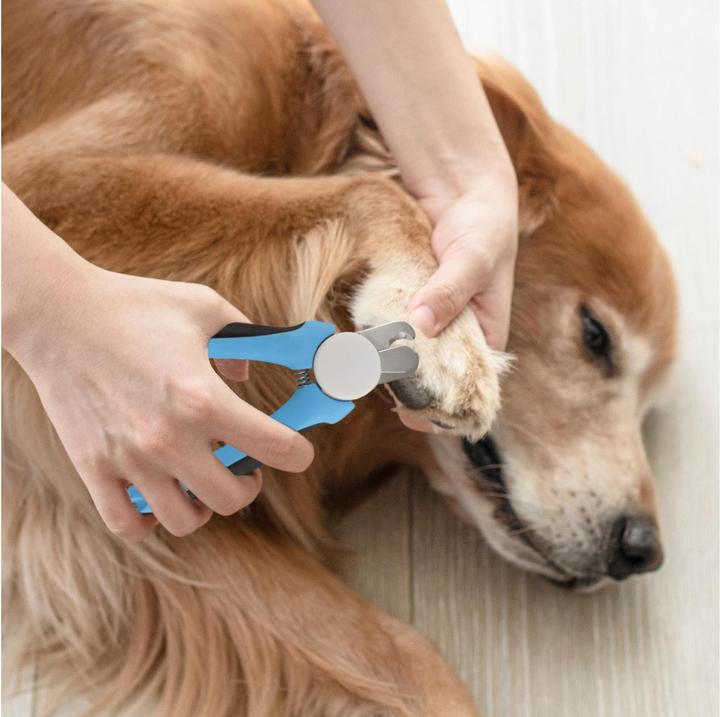 Image du produit Quick Aid Ciseaux à poignées (Oiseau, Chien, Chat)