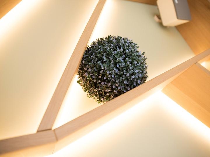 Produktbild Europalms Graskugel (22 cm)