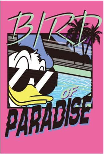 Actual product image Disney Donald Duck Paradise postcard