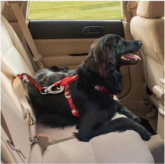 Actual product image Kurgo Swivel Tether safety harness with snap hooks (Dog, Reflectors)