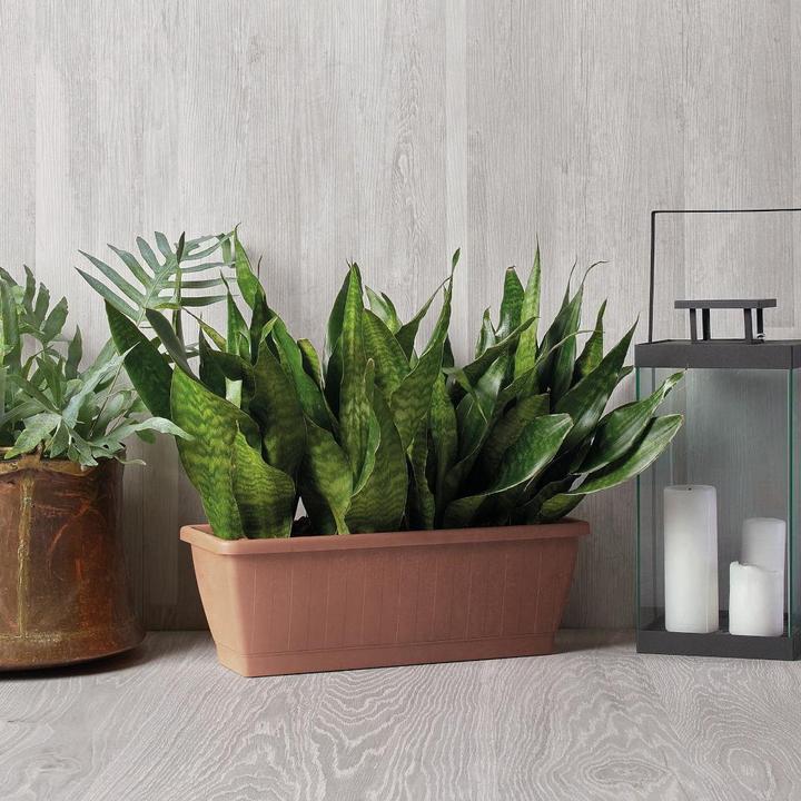 Produktbild Euro3plast Pflanzkasten Greener KEZAR, eckig, 50x20x18cm, aus recycelter Kunststoff in terra (19.50 cm)