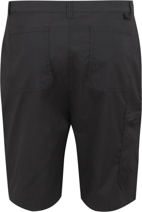 Actual product image Regatta Mens Dalry Multi Pocket Shorts (32)