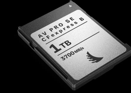 Immagine prodotto Angelbird AV PRO SE CFexpress B (1000 GB, CFexpress tipo B)