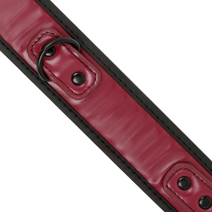 Immagine prodotto Fetish submissive Collare Per Camera Oscura Con Cadenza Con Forcella Di Neopreno