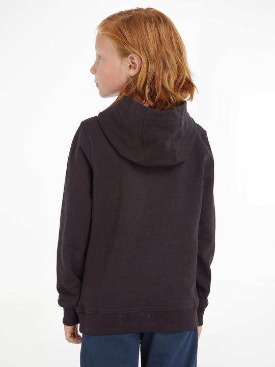 Image du produit Tommy Hilfiger Hoodie Essentiel (92)