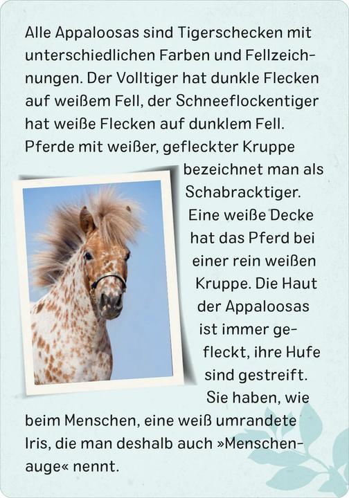 Produktbild Naturforscher-Kids – Pferde & Ponys (Deutsch, Miriam Scholz, 2024)