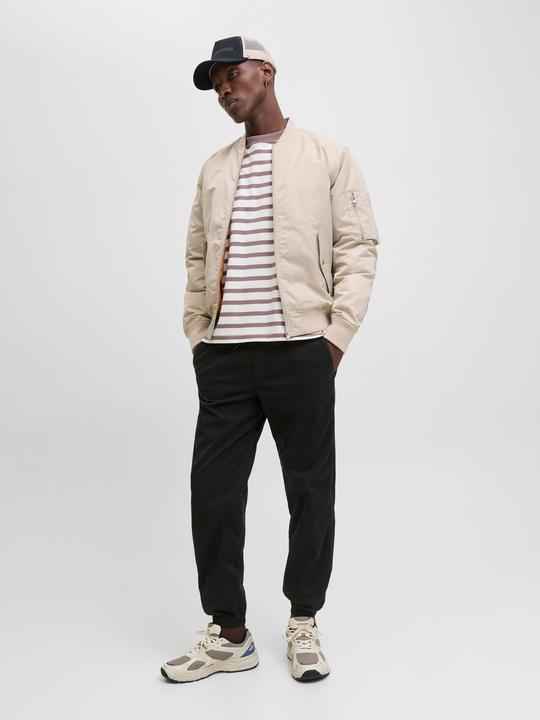 Produktbild Jack & Jones Jpstkane Troy Cuffed Jogger Sn (L)