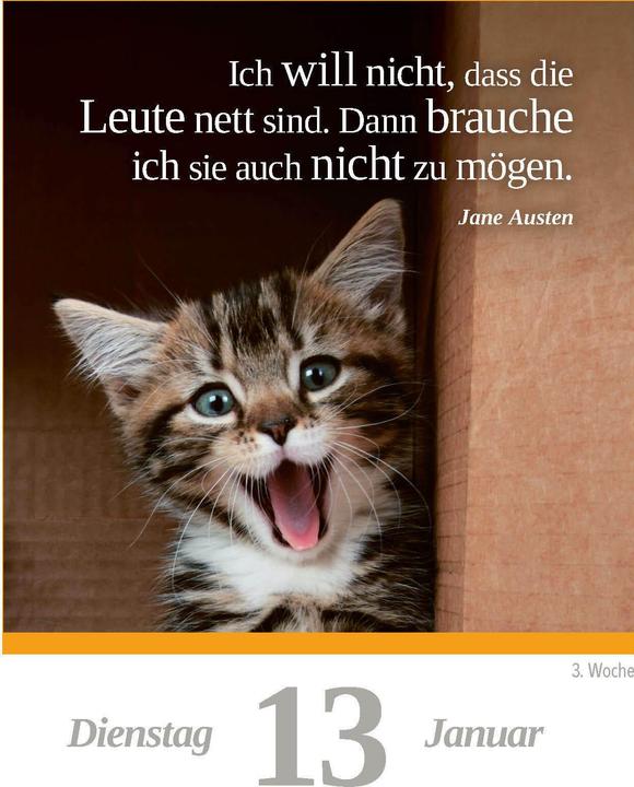 Actual product image A cat for every day 2026 - daily tear-off calendar to put up or hang up (11 x 15 cm, German)