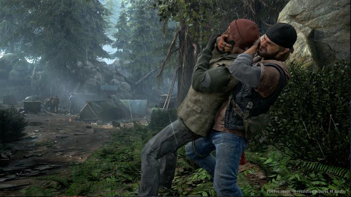 Image du produit Sony Days Gone, PS4 Standard PlayStation 4 (PS4)