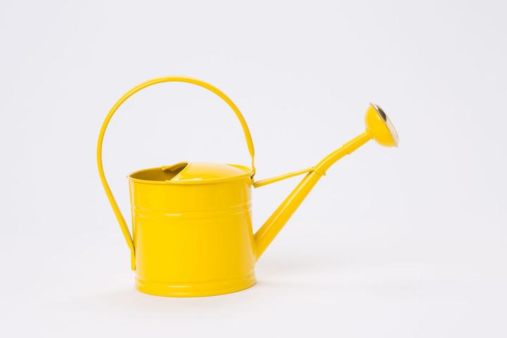 VEG and the City watering can (1.50 l)