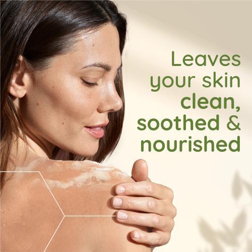 Image du produit Aveeno Daily Moisturising Body Wash (lavage quotidien hydratant pour le corps) (500 ml)