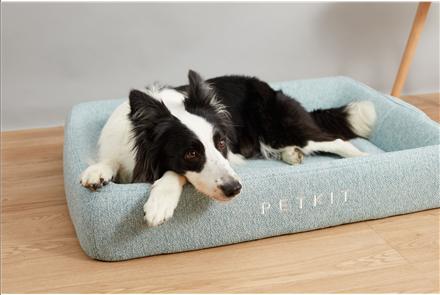 Actual product image Petkit Deep Sleep All Season Pet Bed M Žalias (Dog)