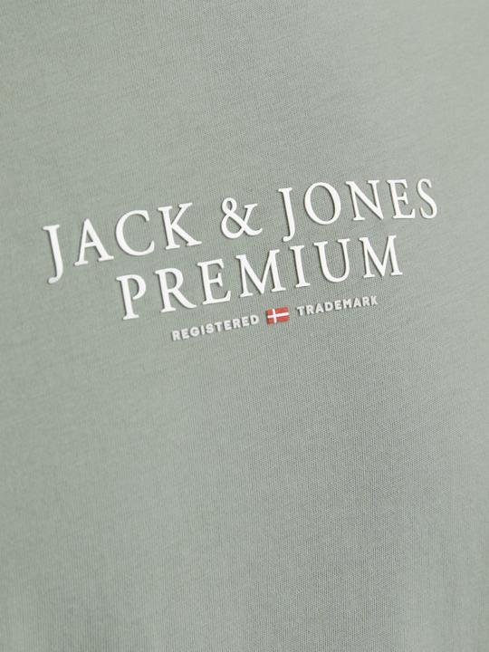 Image du produit Jack & Jones Jprbluarchie Ss Tee Crew Neck Noos (XS)