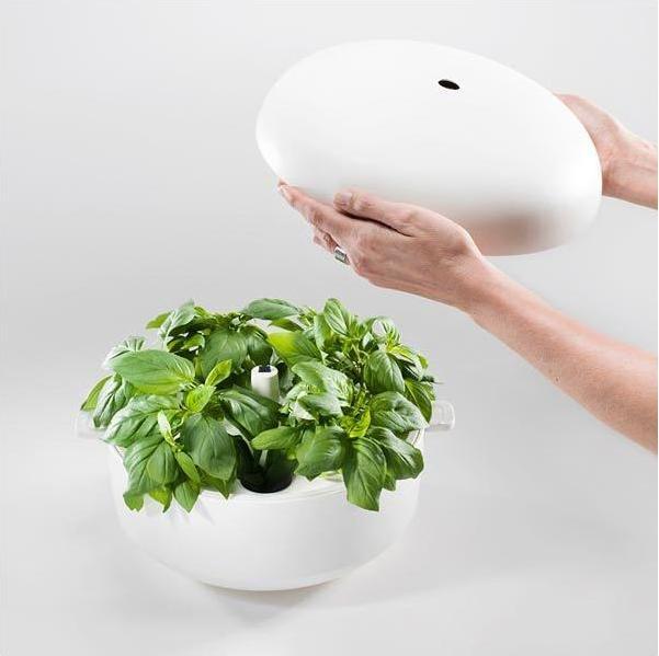 Immagine prodotto Plantui Giardino intelligente (29 cm)