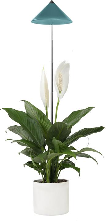 Actual product image Parus by Venso Sunlite (LED, 230 V)