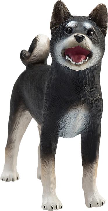 Actual product image Animal Planet Shiba Inu