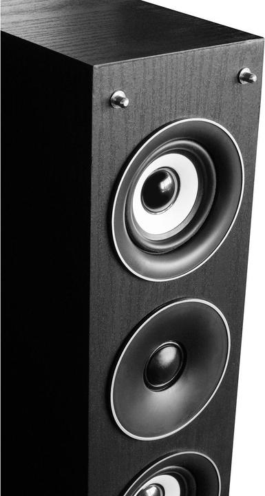 Image du produit Fenton Enceinte de sol SHFT52B Noir (1 paire, 500 W)