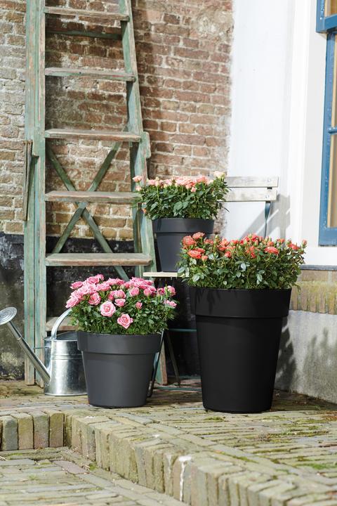 Produktbild Elho Green Basics Top Planter Hoch (34.60 cm)