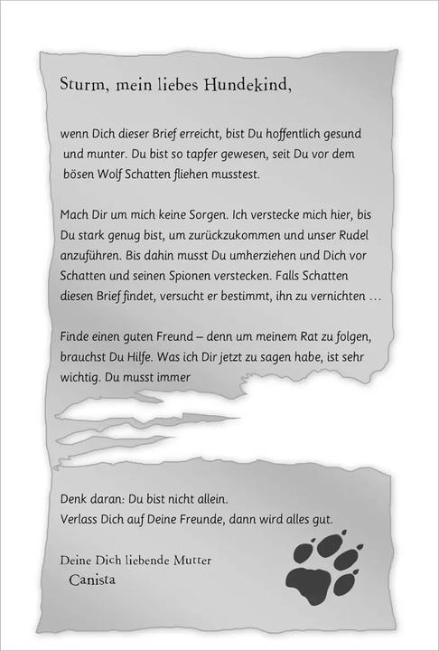 Produktbild Auf magischen Pfoten – Allerbeste Freundinnen (Deutsch, Angela Swan, Andrew Farley, Sue Bentley, Diana Steinbrede, 2023)