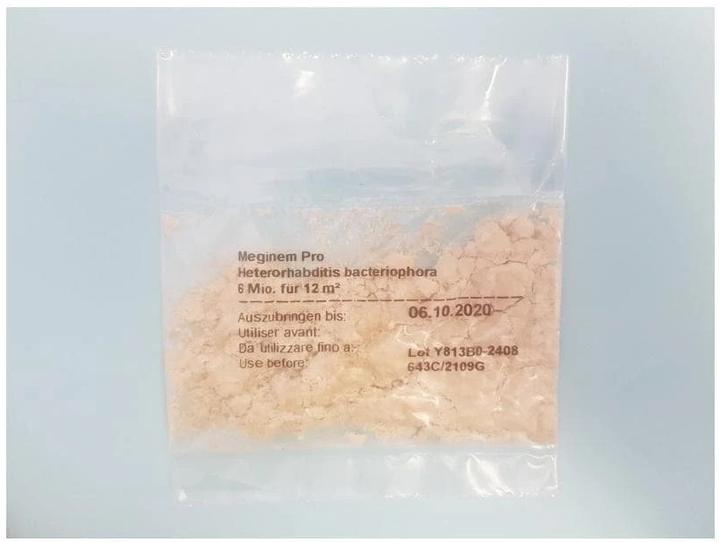 Produktbild Neudorff Dickmaulrüssler-Nematoden (Bestell-Set mit Bestellgutschein) (Schadinsekten)