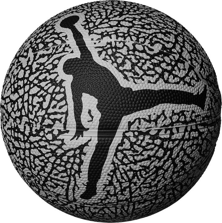 Nike Jordan Skills 2.0 Graphic Basketball (7)
