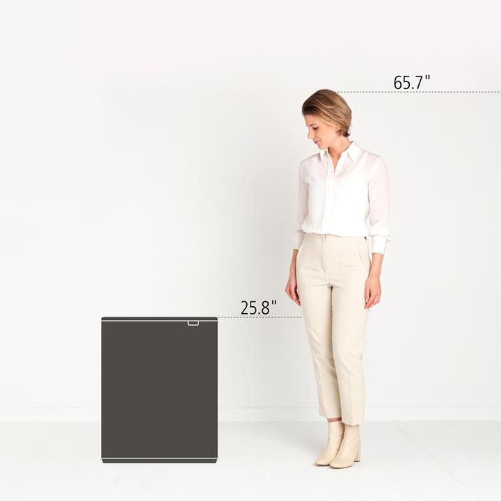 Image du produit Brabantia Bo Waste Bin (60 l)