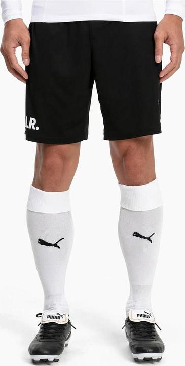 Actual product image Puma Team LIGA Socks-703438 (35 - 38)