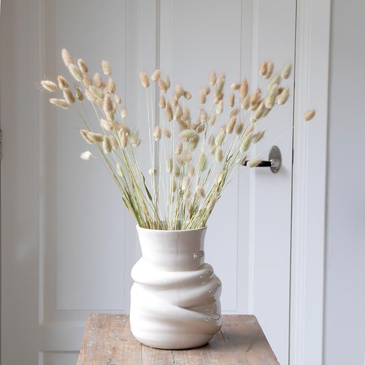Image du produit Plant in a Box - (50 cm)