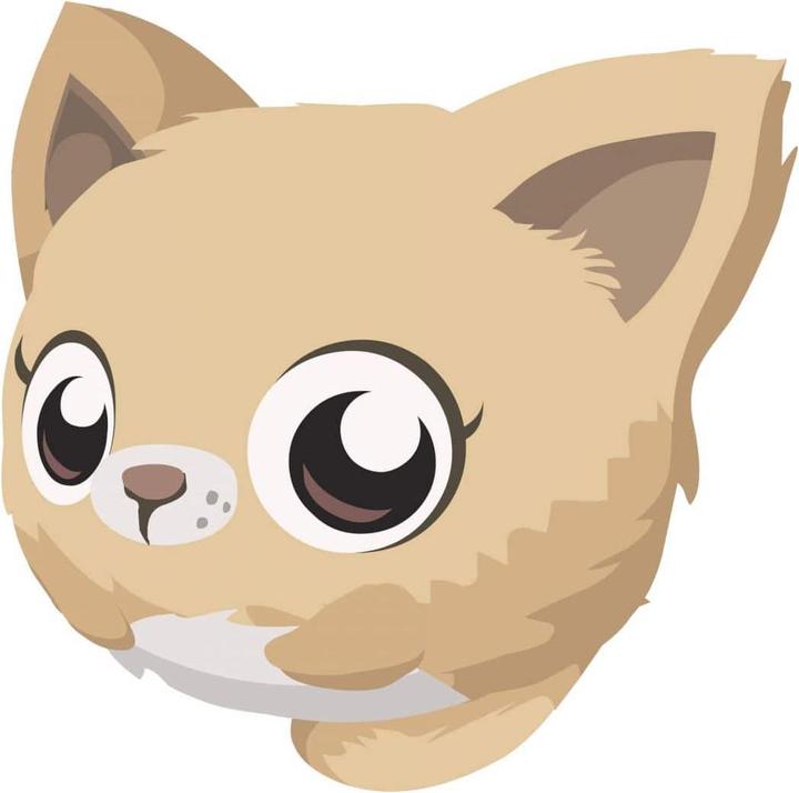 Trenddeko Dolce gattino