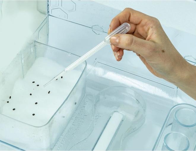 Image du produit Clementoni Serre Hith Tech