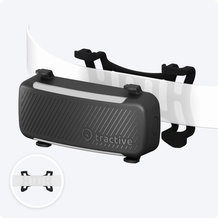 Immagine prodotto Tractive GPS Tracker Dog 6 (Cane, Passeggiare)