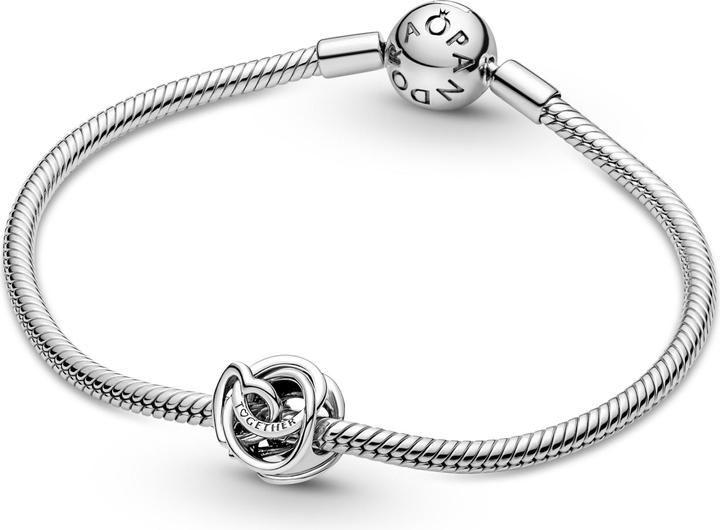 Immagine prodotto Pandora Famiglia di fascino per sempre (Argento 925)