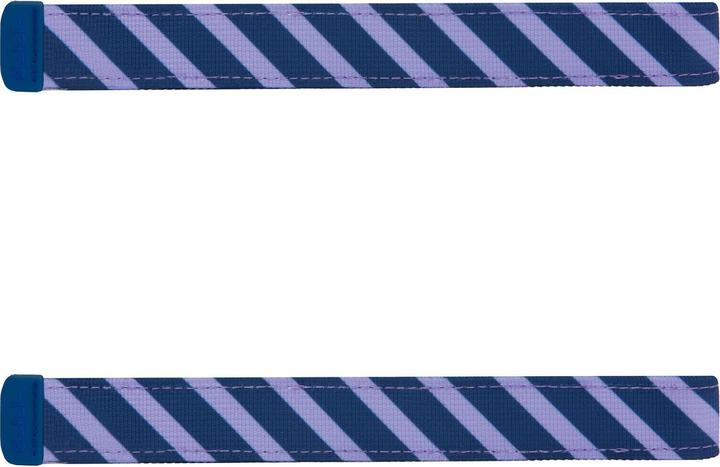 Image du produit Satch SWAPS Stripe Bleu