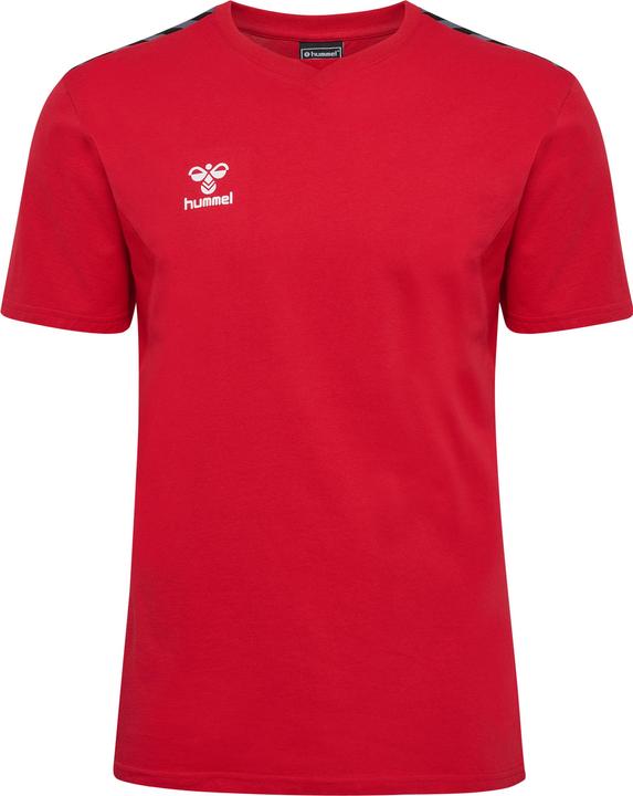 Actual product image hummel Hmlauthentic Co T-Shirt S/S (L)