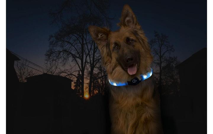 Immagine prodotto Karlie Visio (Cane, Passeggiare)