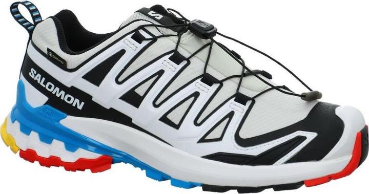 Salomon Chaussure Outdoor Chaussures XA PRO 3D V9 GTX W Luna