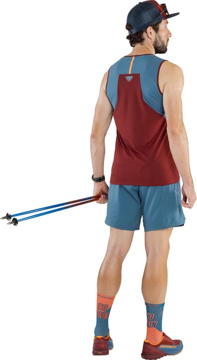 Produktbild Dynafit ALPINE PRO 2/1 SHORTS, Herren (S)