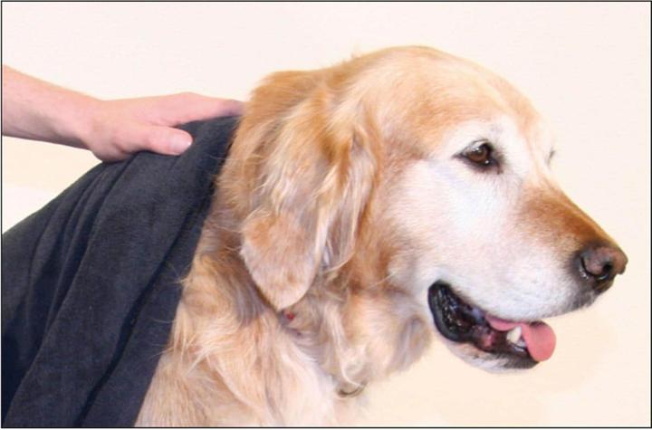 Swisspet Tissu en microfibres (Chien)