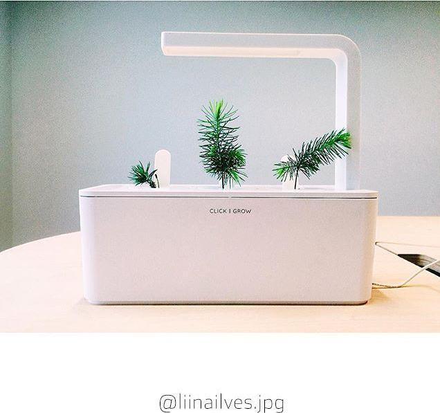Produktbild Click and Grow Experimental Kit (Keimlinge)