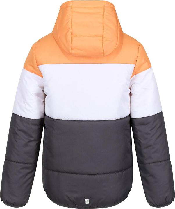 Immagine prodotto Regatta Bambini/ragazzi Giacca imbottita Lofthouse VII Terrain Print (128)