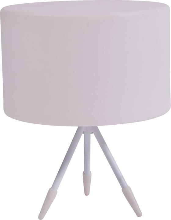 Life Lamp Model A