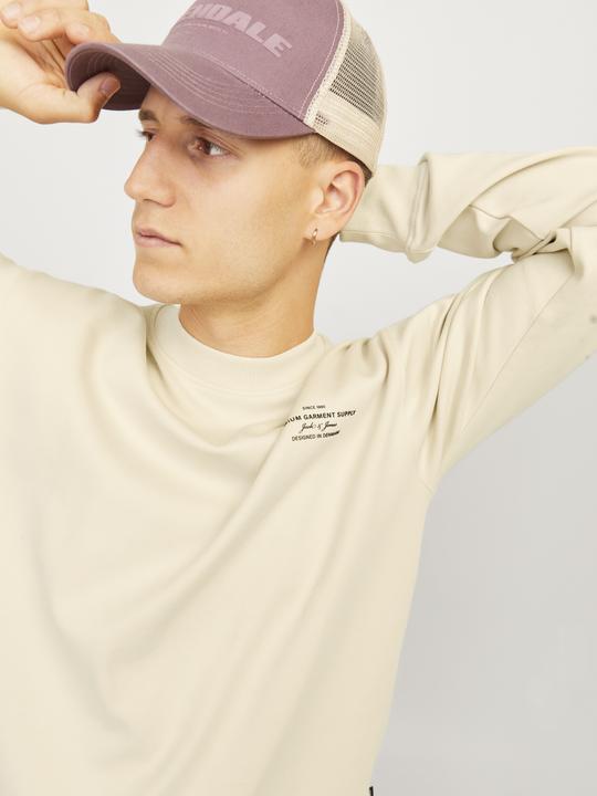 Produktbild Jack & Jones Jprblachad Branding Sweat Crew Neck Ln (S)