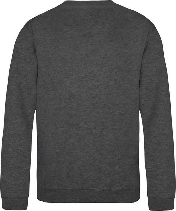 Produktbild Awdis Sweatshirt (152, 158)