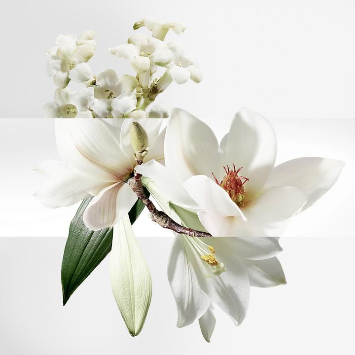 Actual product image Hermès Un Jardin Sur La Lagune (200 ml)