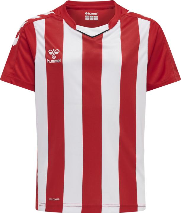 Actual product image hummel Core Xk Striped Jersey Kids S/S (128)