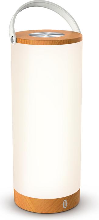 Immagine prodotto Taotronics TT-DL23 In- & Outdoor lampada (300 lm)