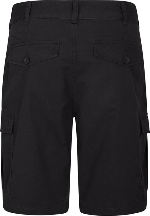 Actual product image Mountain Warehouse Mens Lakeside Cargo Shorts (Frequency band 38 (2600 MHz))
