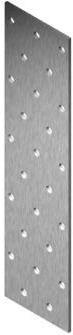 Arras NAIL PLATE 100X40X2.0 (100) (100 Stk.)
