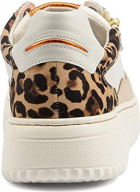 Image du produit Gabor 66-408 (37.5)